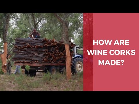 How are wine corks made? Guide to the cork harvest &amp; wine cork production