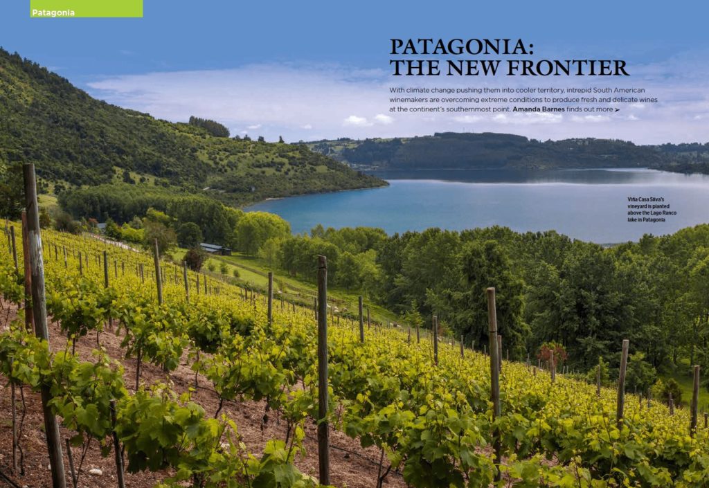 Patagonian wines in Chile and Argentina. Feature for Decanter South America specialist Amanda Barnes wine writer