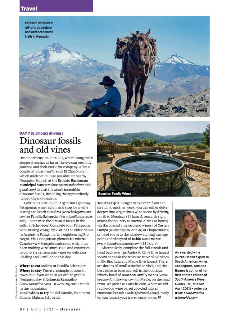 Argentina Decanter writer Amanda Barnes on visiting the wineries and vineyards of Patagonia, travel writer and author of South America Wine Guide